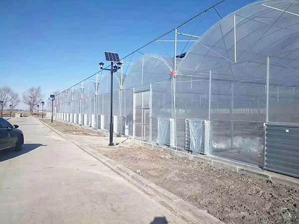 中國農業政策與法規與未來的規劃